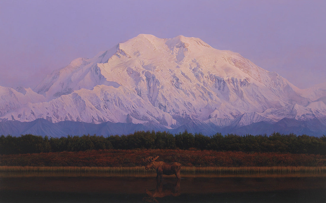 denali dusk