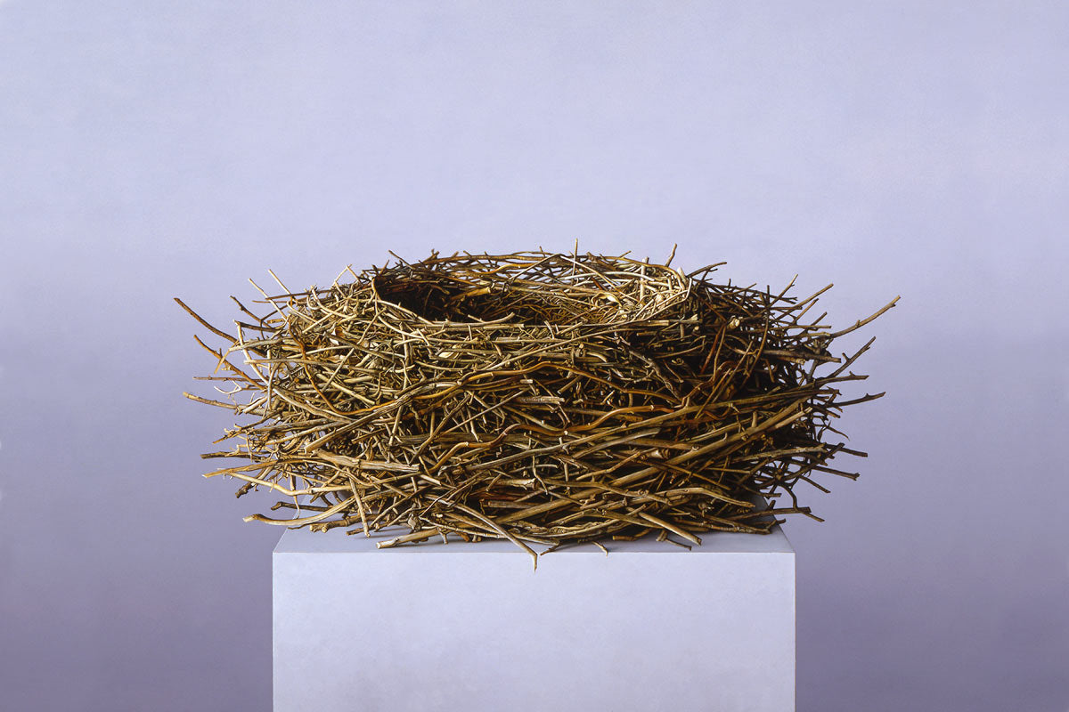 nest