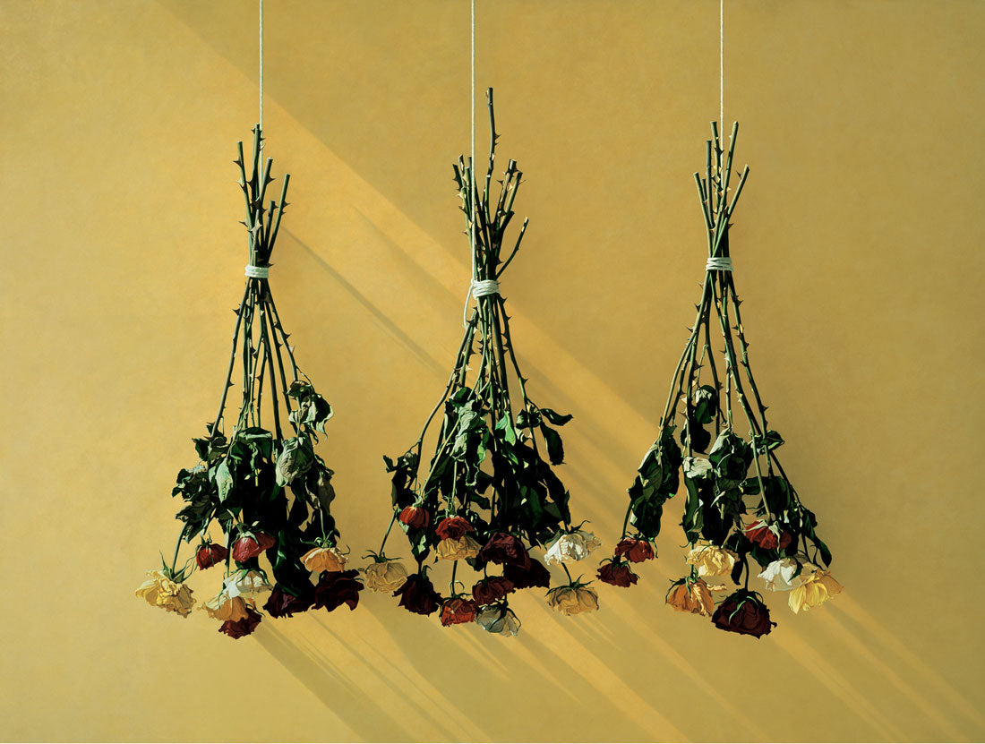 Three bundles of roses hanging from the ceiling.