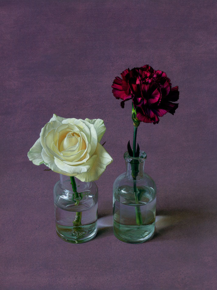 rose and carnation