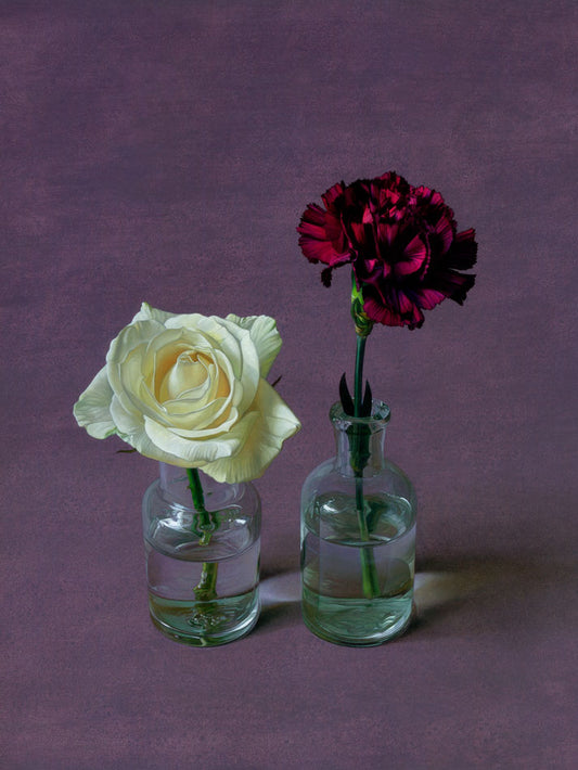 rose and carnation