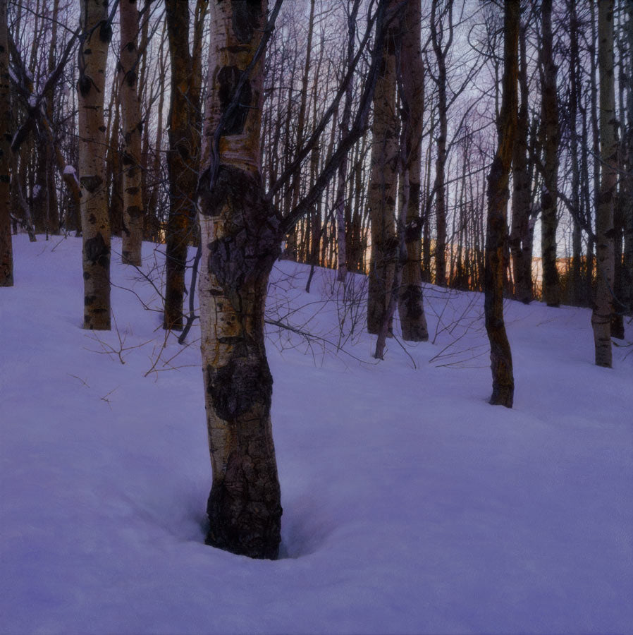 winter aspens